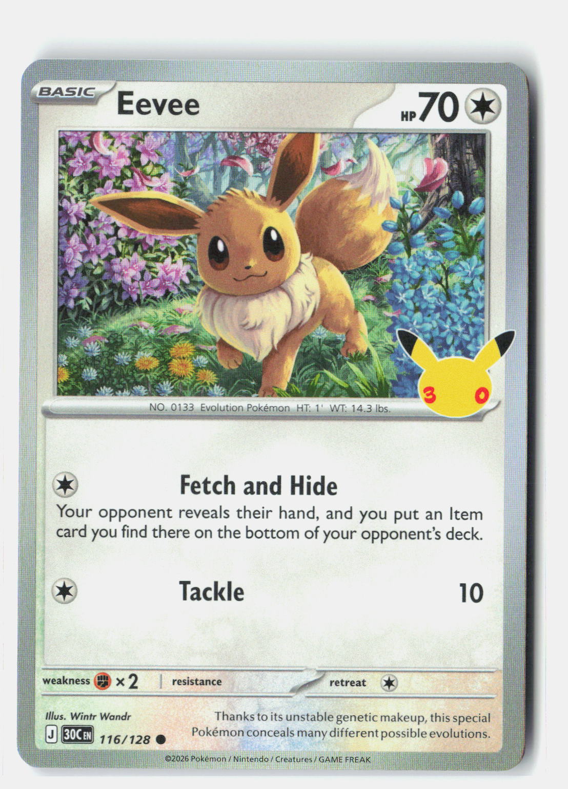 Eevee - 116/128 | Near Mint