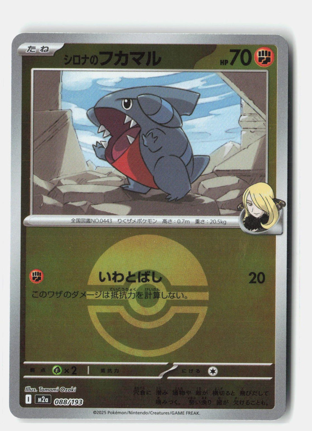 Cynthia's Gible (Poke Ball Pattern)