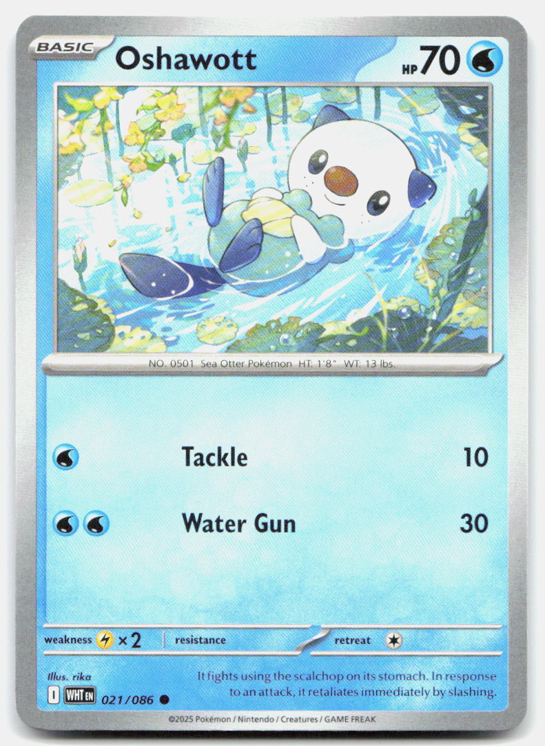 Oshawott | Near Mint